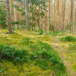 Bukowe Zacisze * Szczytna