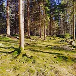 Bukowe Zacisze * Szczytna