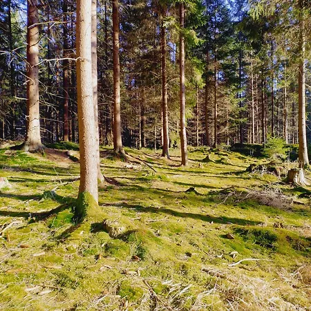 Bukowe Zacisze * Szczytna