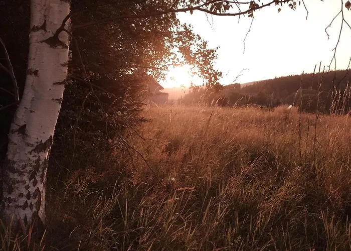 Holiday home Bukowe Zacisze *