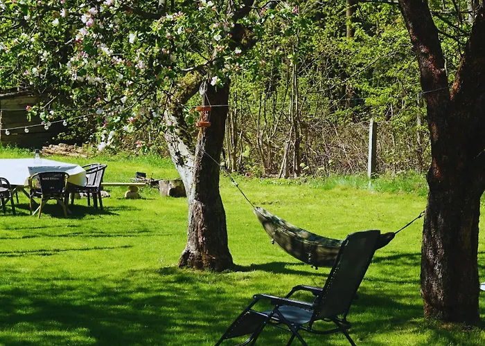 Bukowe Zacisze Holiday home Szczytna